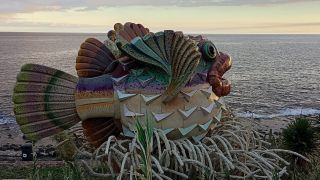 GC-Playa de Arinaga 2026-127.jpg